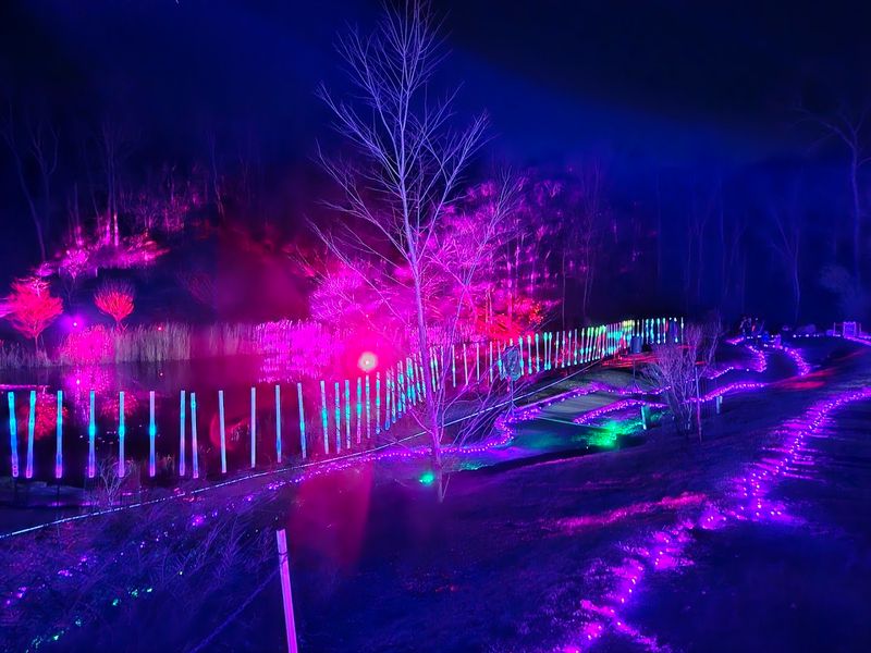 Dazzling Nights: A Holiday Light Walk