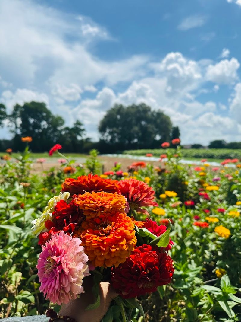 Flower Picking for an Extra Splash of Color