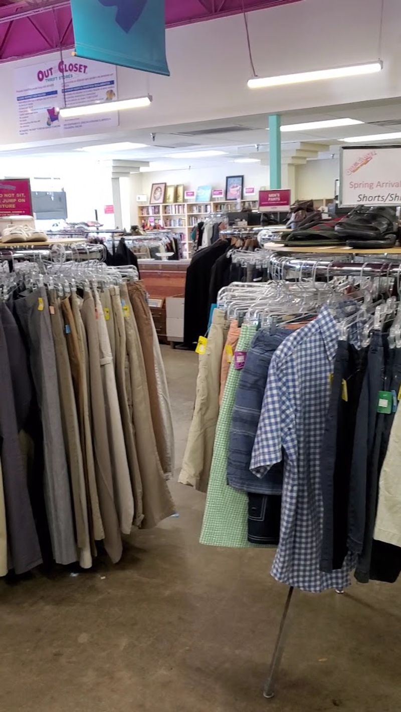 Daily Restocks Keep the Treasure Hunt Fresh