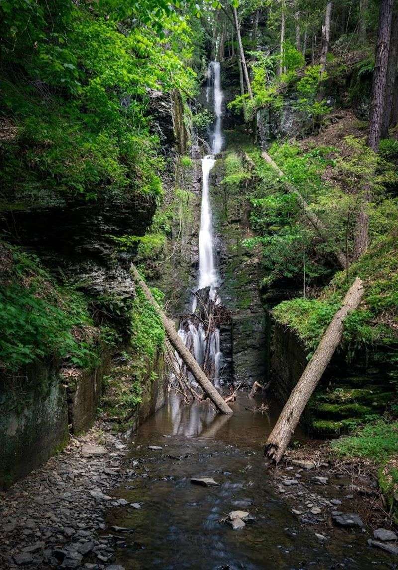 Dingmans Falls (Dingmans Ferry)