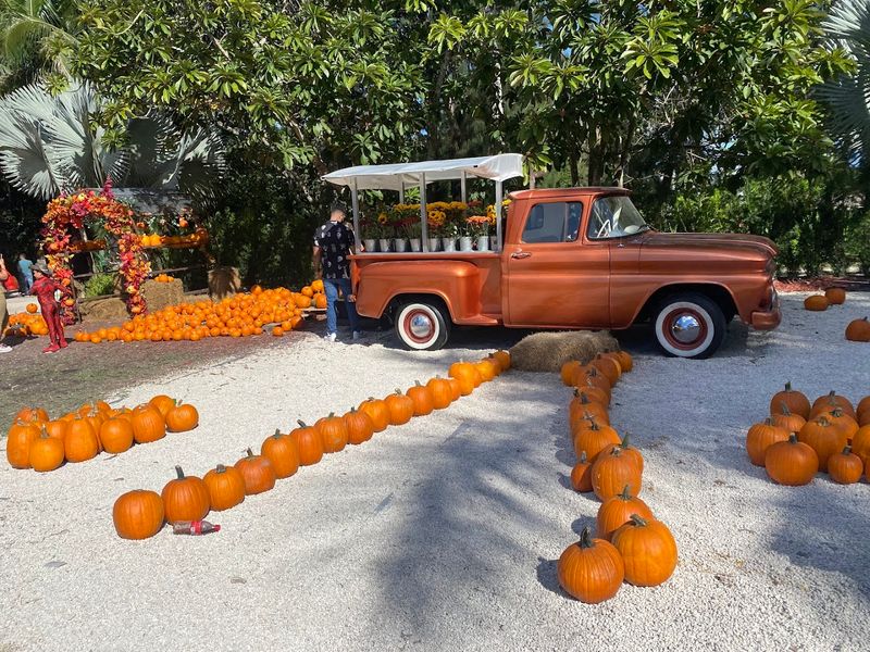 Pumpkin Patch and Winterland