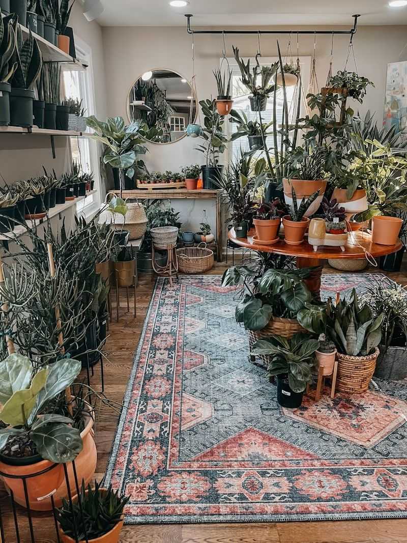 A Cozy Spot To Browse, Learn, And Get Inspired