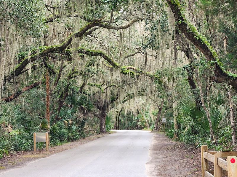 Hiking and Biking the Trails