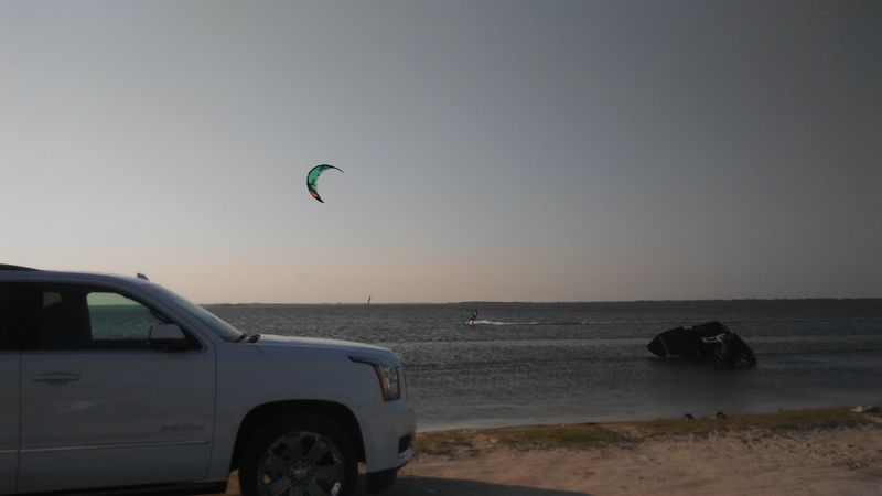 Conservation Efforts Keeping the Lagoon Alive and Thriving