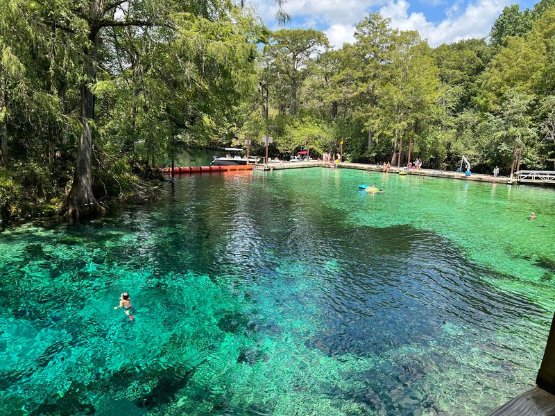 Fanning Springs State Park (Fanning Springs)