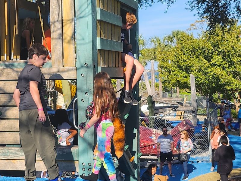 Safety Considerations And Supervision Challenges