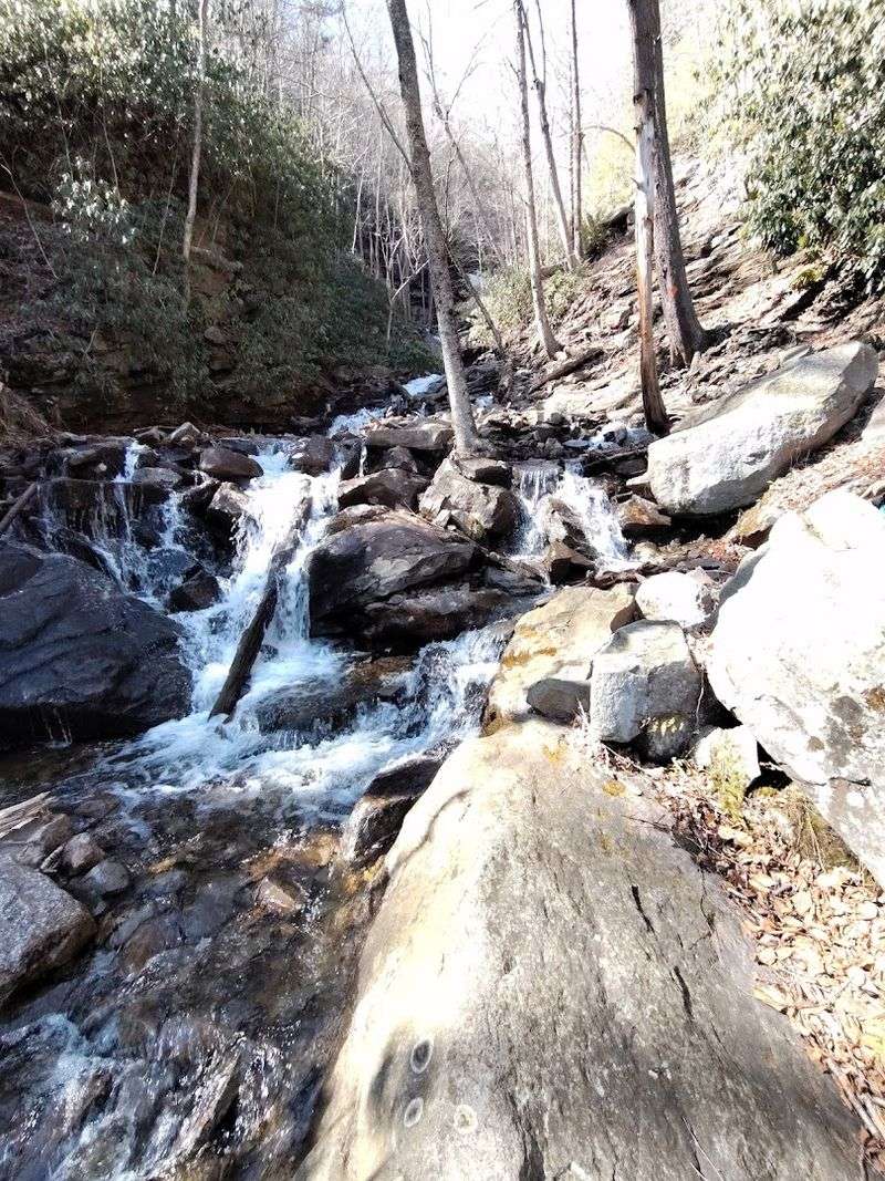 Glen Onoko Falls Trail area (Jim Thorpe)
