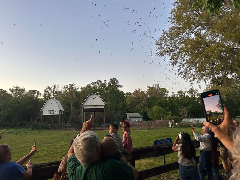 Where To Stand And When To Arrive