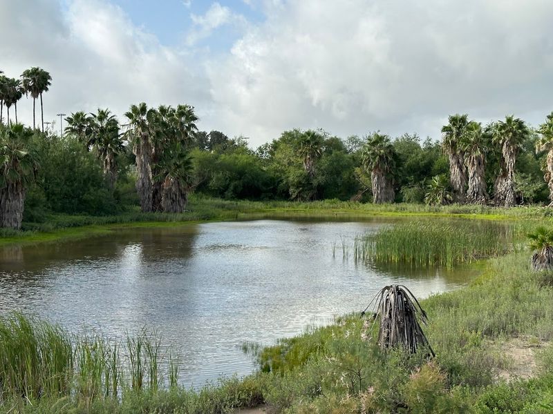 The Former Botanical Garden Legacy Adds Historical Charm