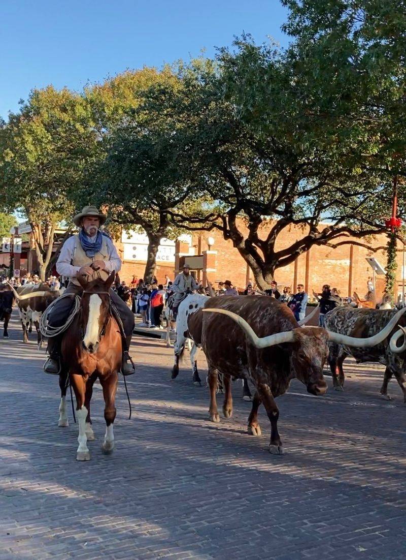 Perfect Photo Opportunities Around Every Corner