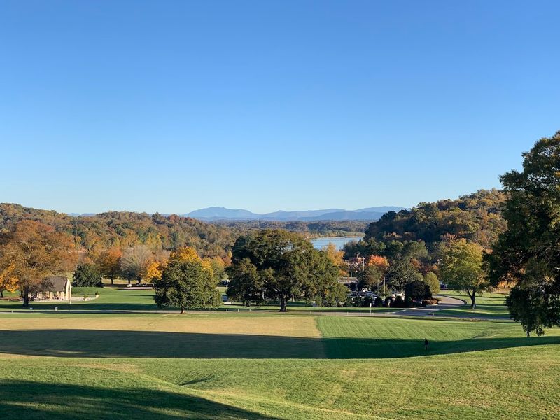 Why It's a Favorite for Walkers, Families, and Dog Owners