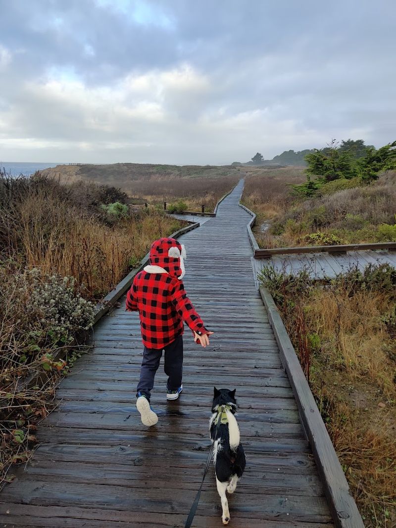 An Easy Walk Almost Anyone Can Enjoy