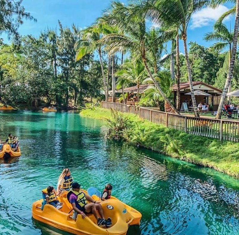 Pedal Boats on the Lake