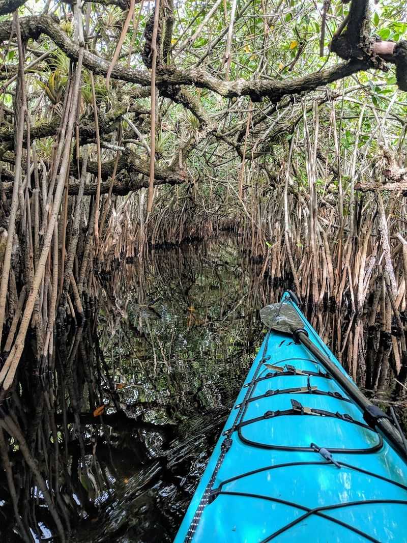 Turner River Canoe Trail