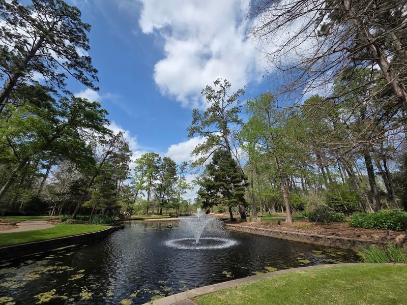 Peaceful Atmosphere Supports Mental Health and Wellness