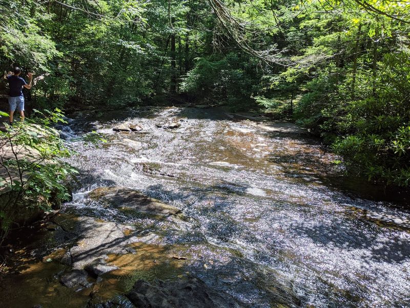 Hickory Run and Mud Run Trout Fishing