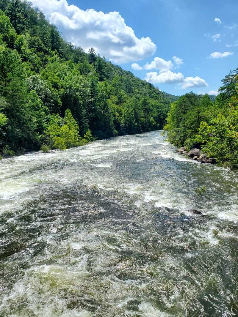 Cherokee National Forest and Ocoee Scenic Byway