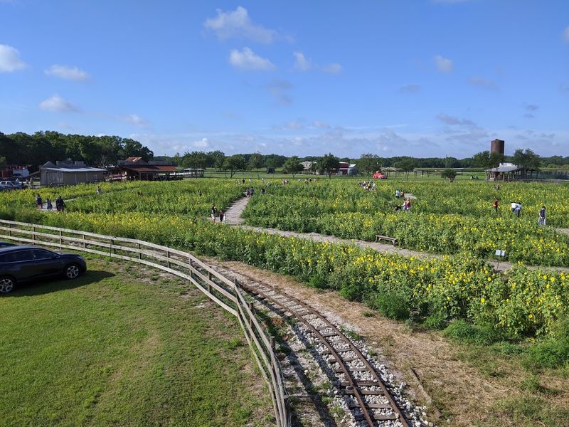 Practical Tips For Your Visit