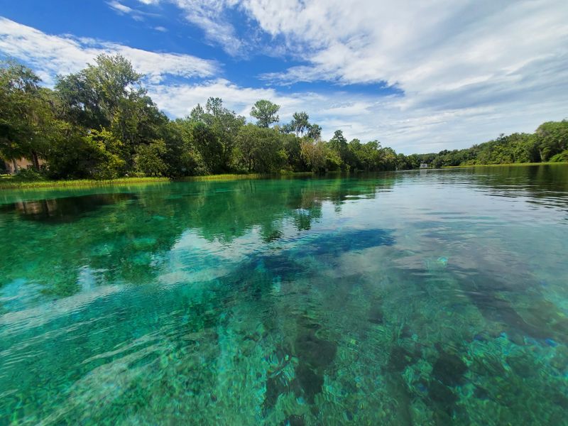 Glass Bottom Views and Spring Vents