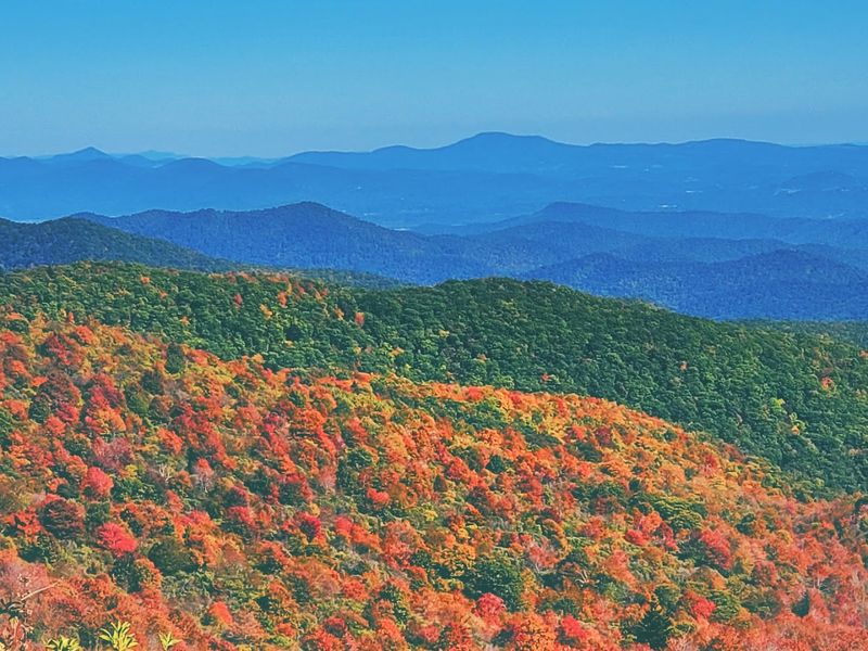 Pisgah National Forest (Asheville)