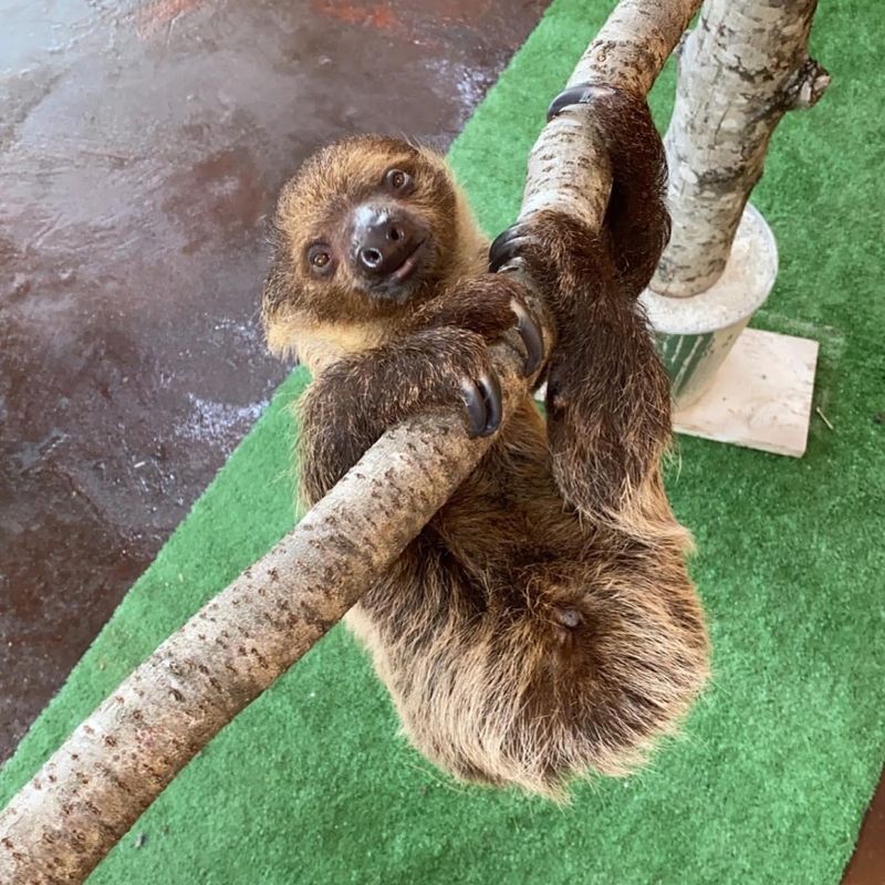 The Most Exciting Animals You'll See Here