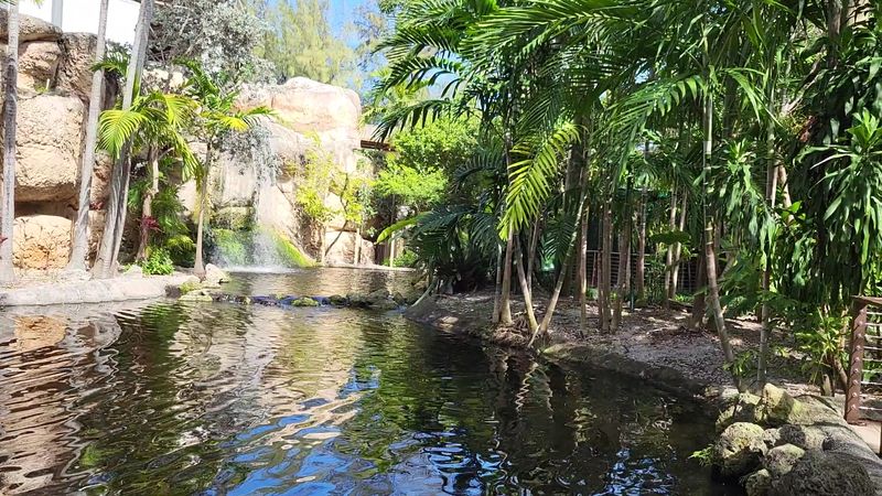 A Tranquil Escape Right in the Heart of Miami Beach