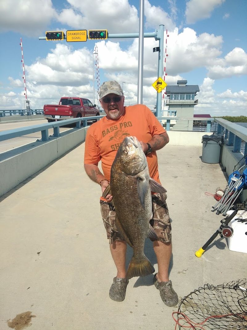 Year-Round Fishing Action and Seasonal Patterns