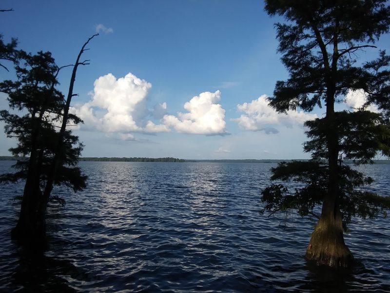 Why Reelfoot Lake Is One of Tennessee's Most Fascinating Natural Sites