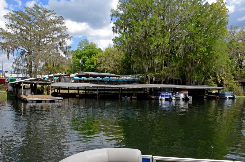 The Blue Gator Tiki Bar & Restaurant (Dunnellon)