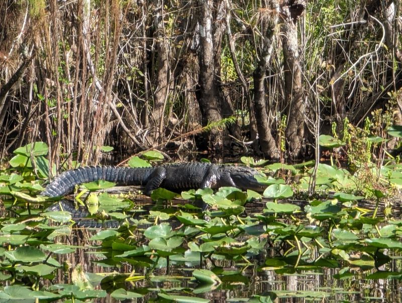 Wildlife Watching Paradise
