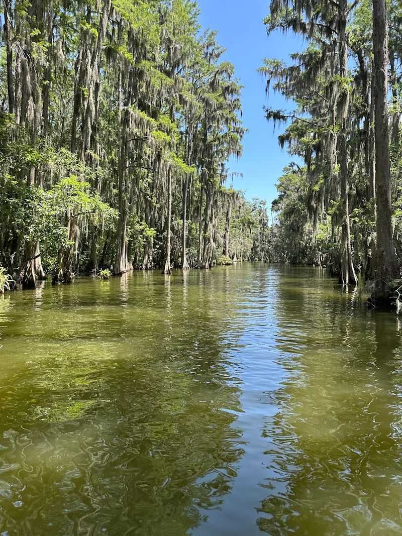 The Dora Canal Experience Takes You Back in Time