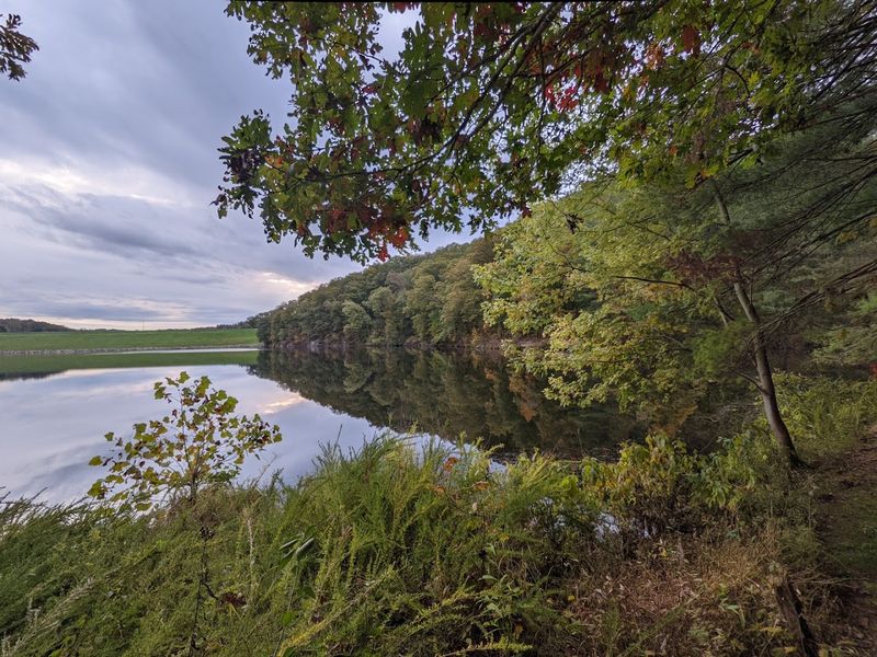 Wildlife Watching Moments