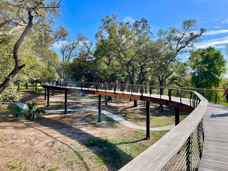 Walking Among the Trees on an Elevated Pathway