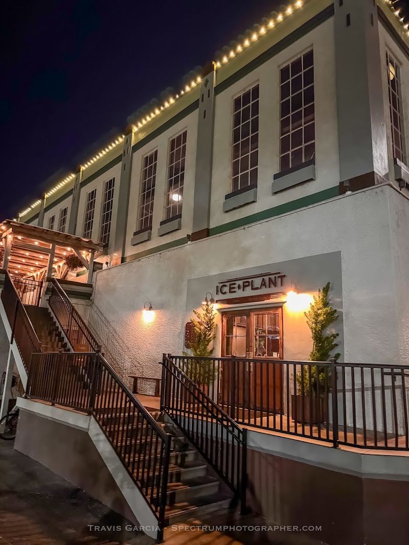 Late Hours and Dog-Friendly Patios