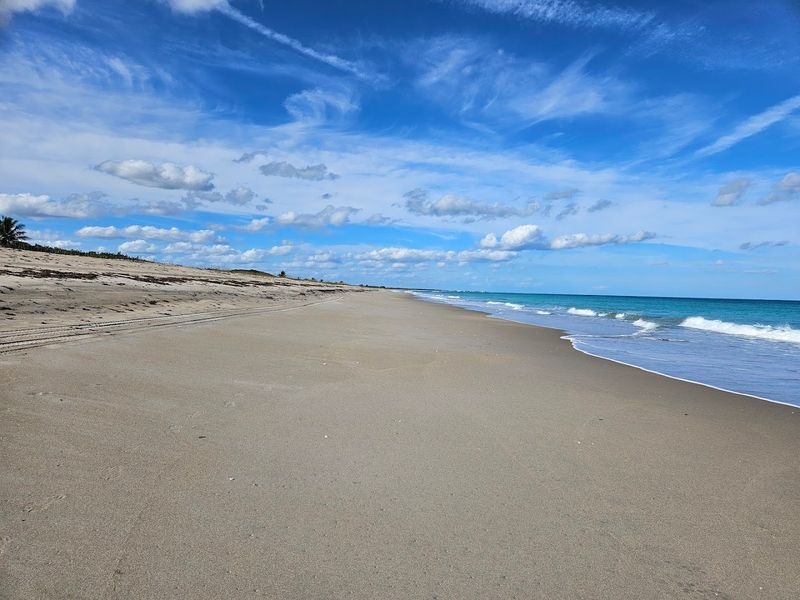 Hobe Sound National Wildlife Refuge Beach (Hobe Sound)