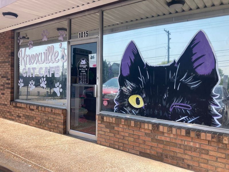 Plan Your Visit To Scruffy's Café In Knoxville
