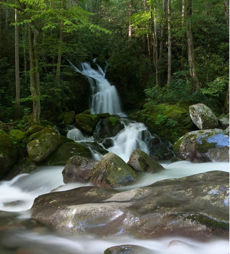 Mouse Creek Falls — Great Smoky Mountains National Park