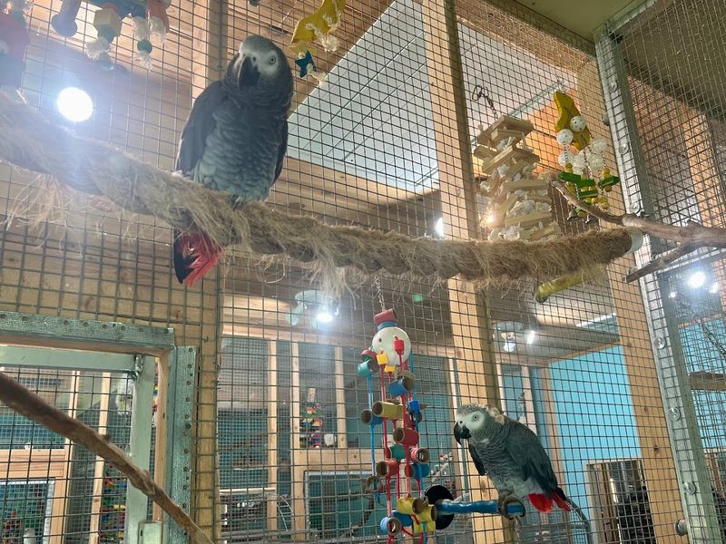 Why This Hermitage Sanctuary Leaves Such a Lasting Impression