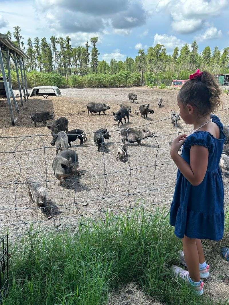 What To Know Before You Go