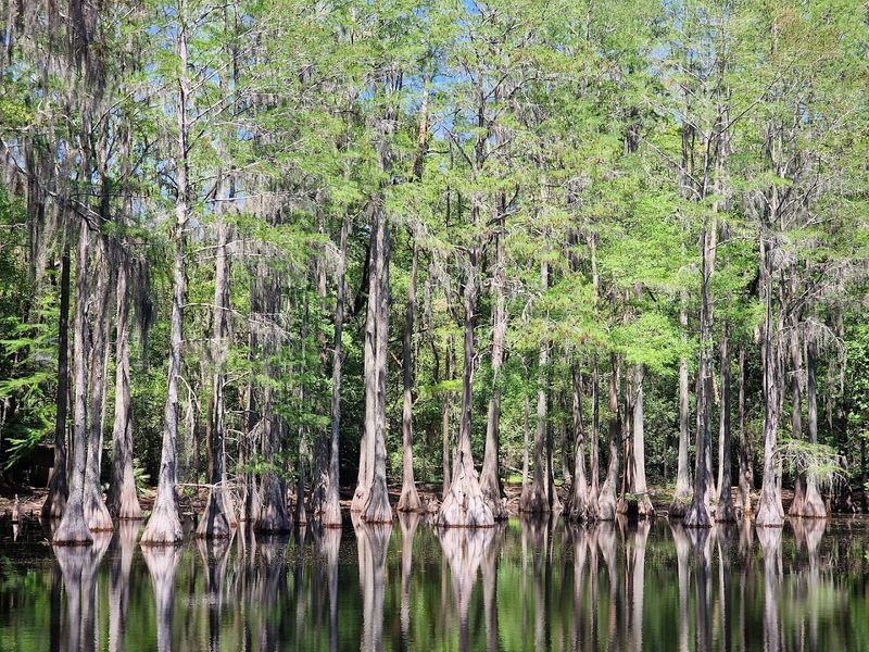 Apalachicola