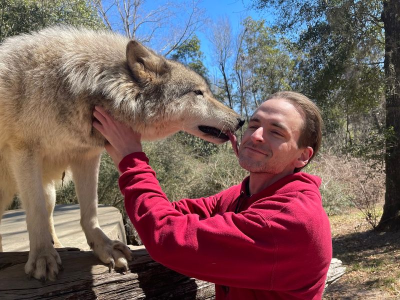 Seacrest Wolf Preserve (Chipley)