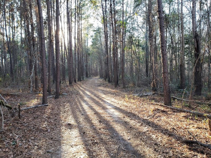 Miles of Hiking Trail Networks