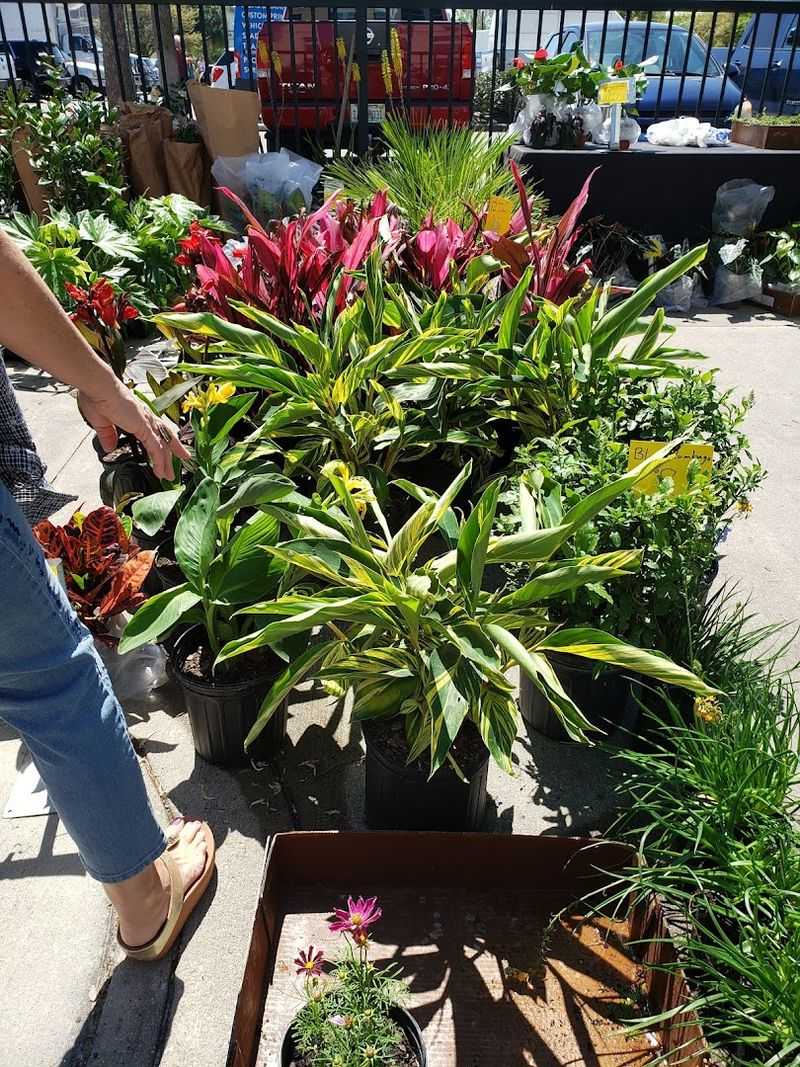 Family Activities And Kids Zone