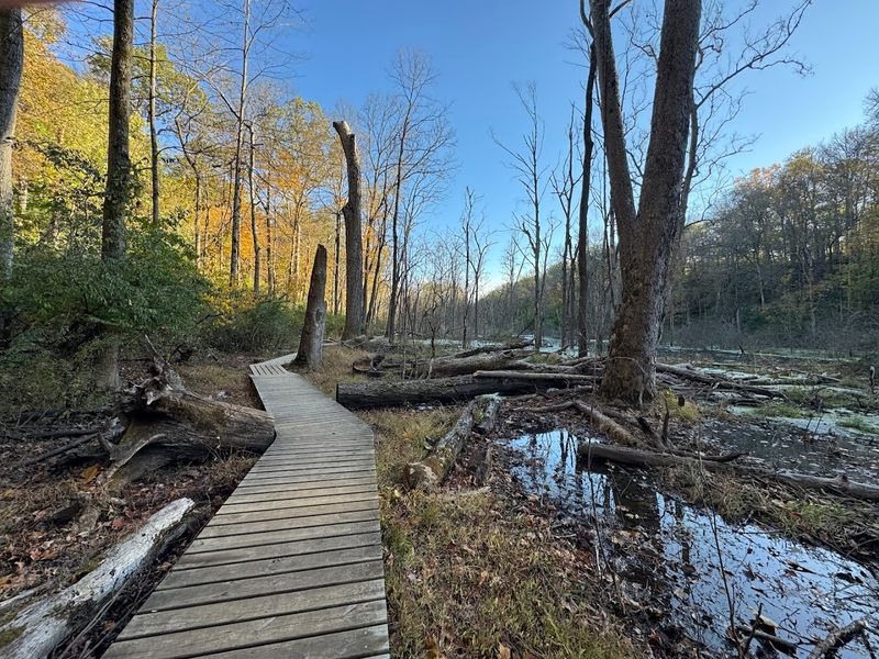 Smart Planning: Parking, Bathrooms, Maps, And Safety