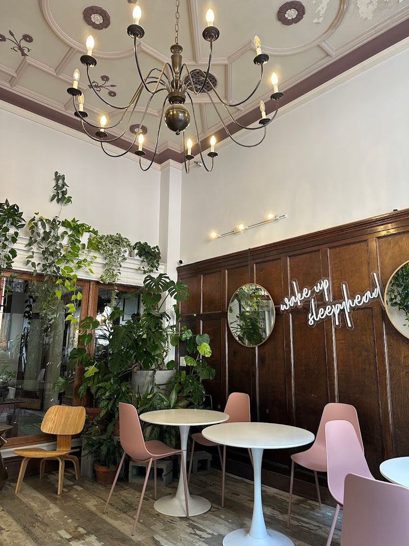 Sleepyhead Coffee &mdash; Chattanooga