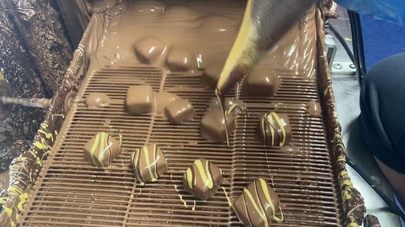 Truffles, Caramels, And Swiss Chocolate With Walnuts