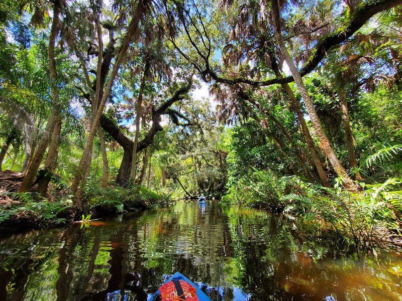 Paddle the Scenic Estero River