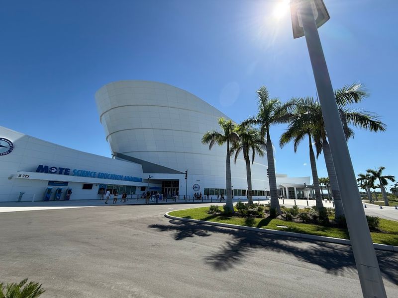 Mote Science Education Aquarium (Sarasota)