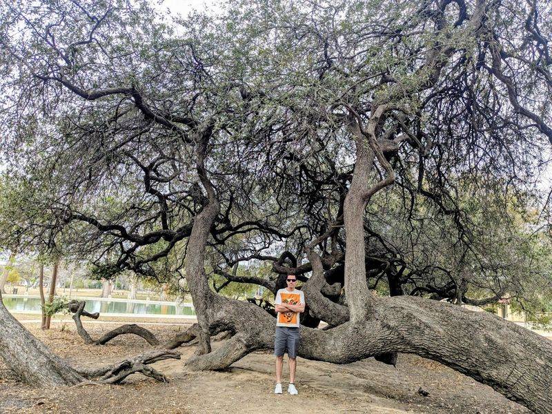 Beyond Swimming: Park Activities and Features