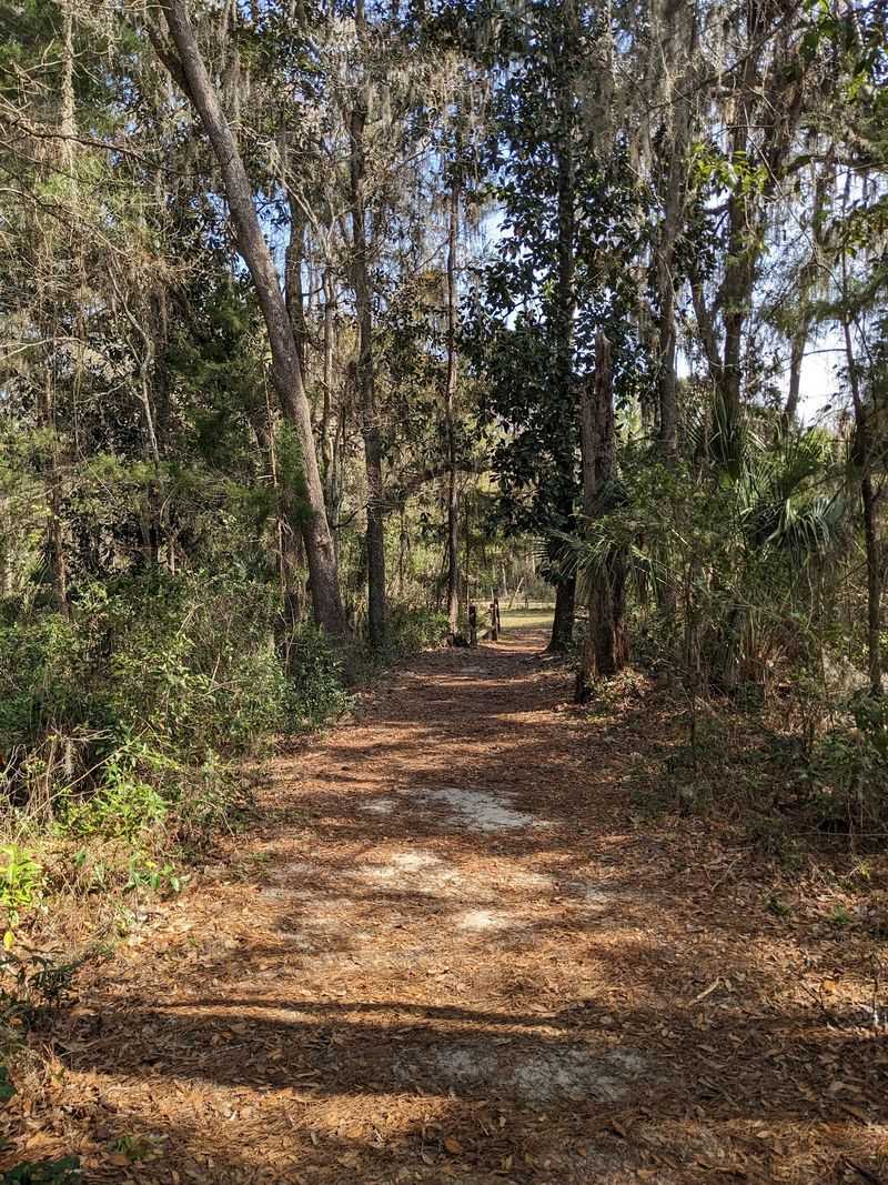 The Pause and Ponder Trail for Modern Decompression
